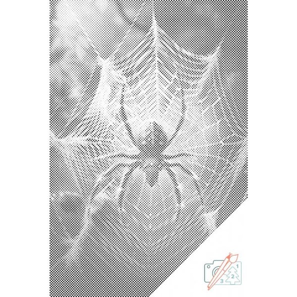 Dolly Dotz - Spin in Web