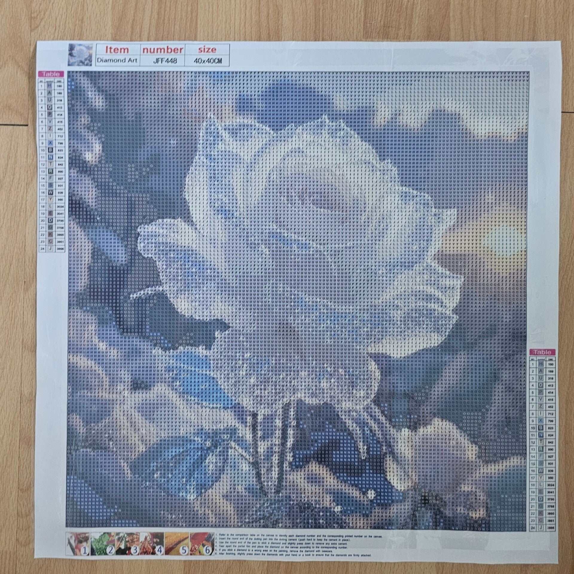 DP Bild Rose im Sonnenuntergang