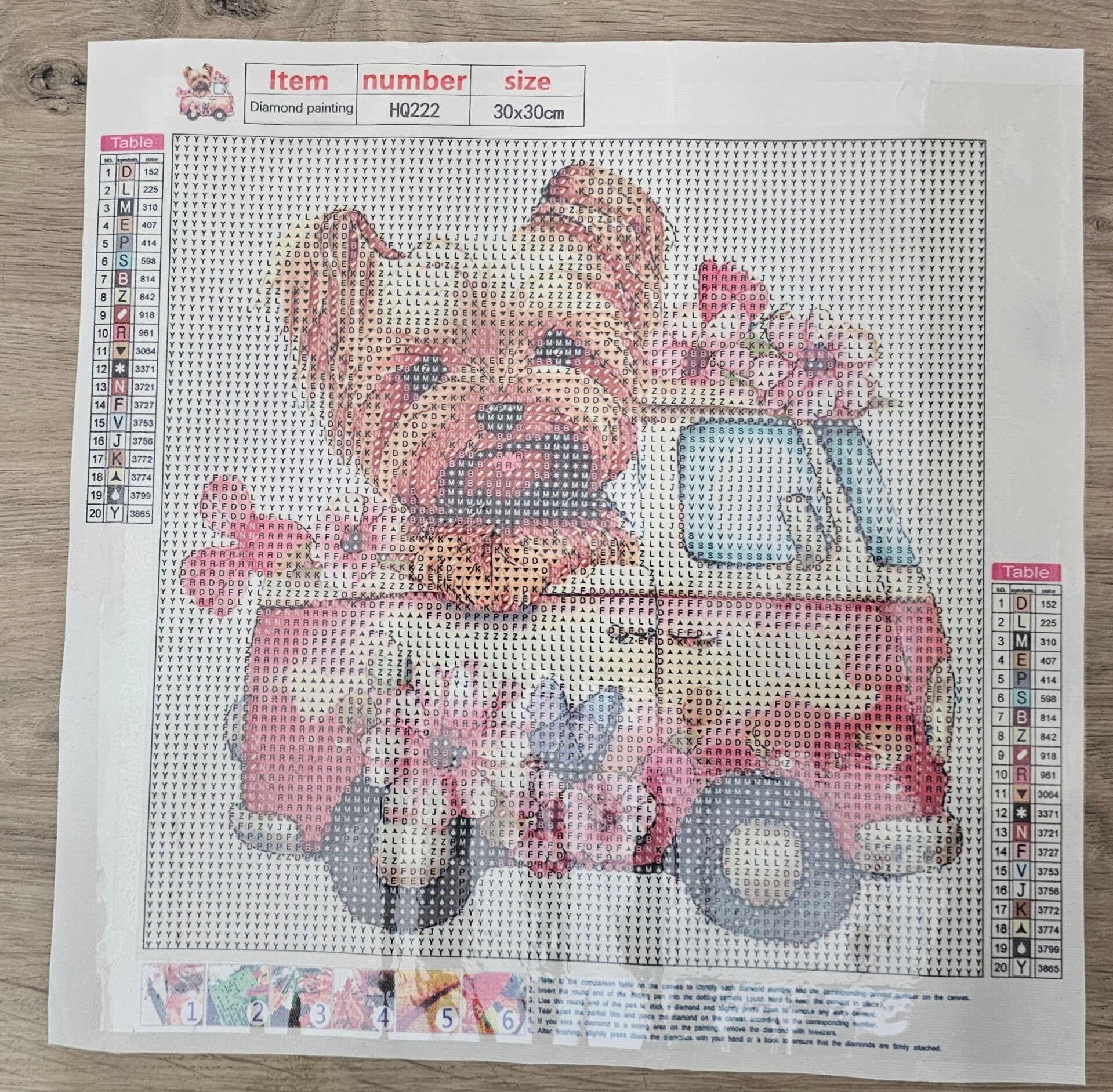 DP Bild Hundeausfahrt