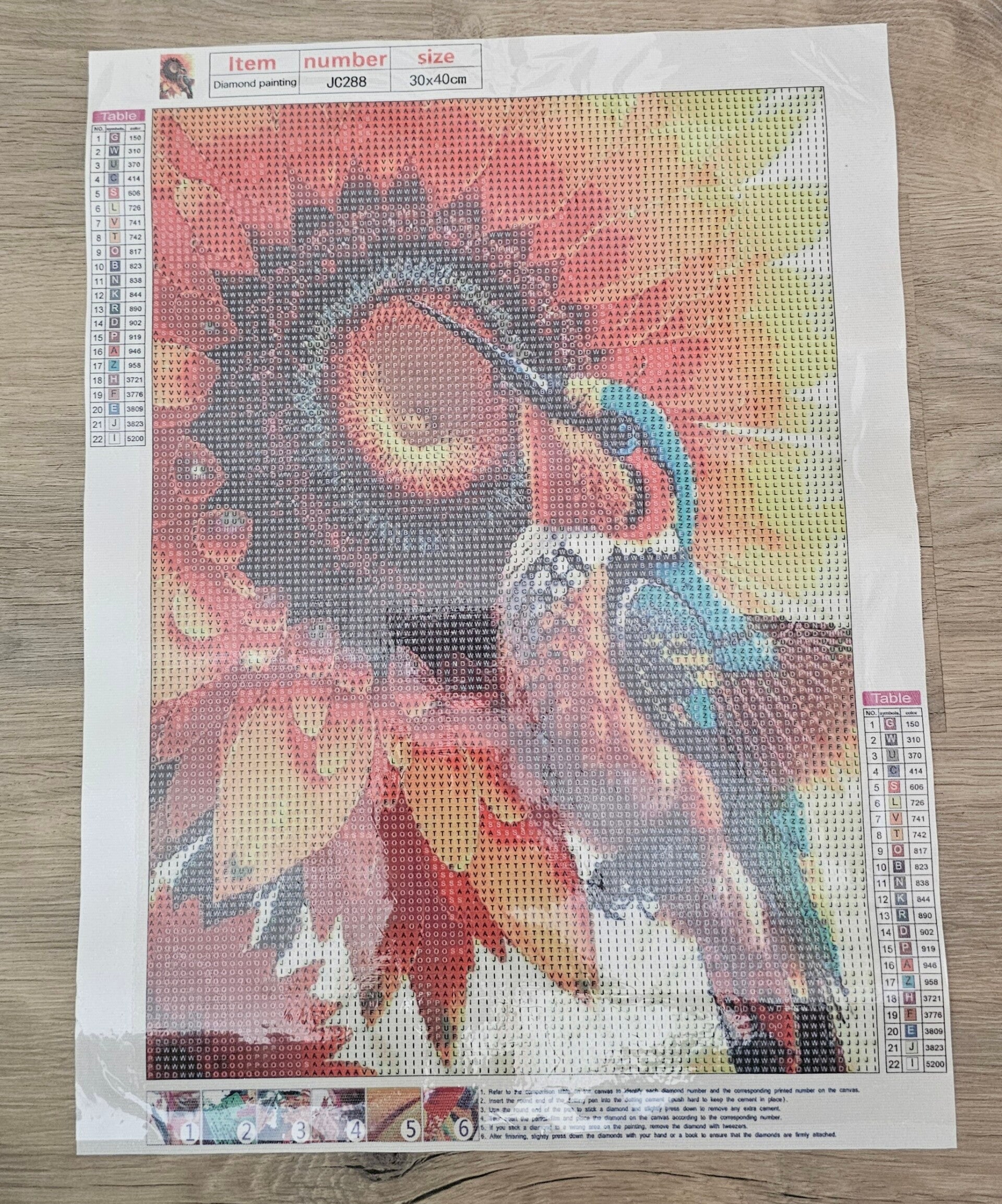 DP Bild Sonnenblumenkolibri