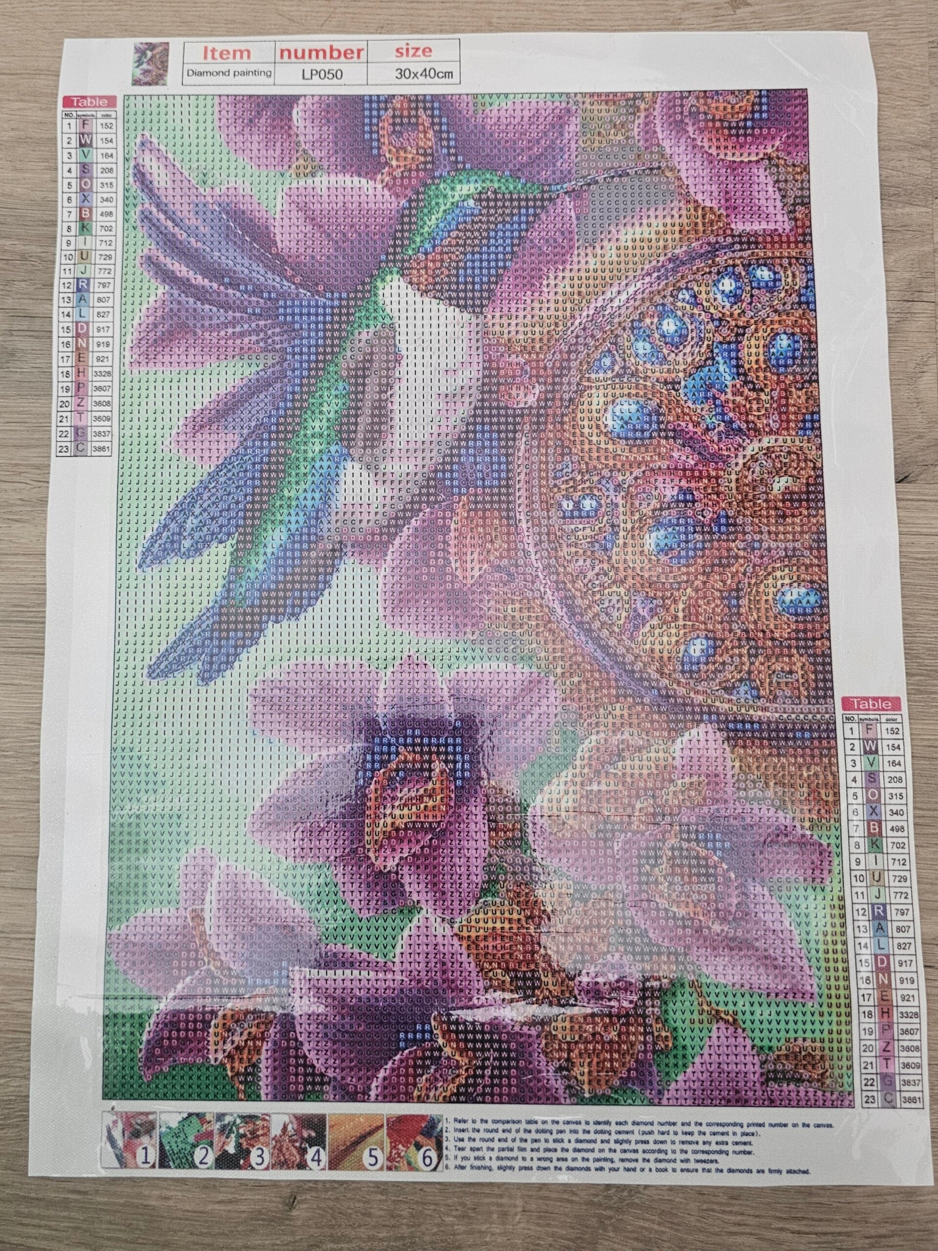 DP Bild Kolibri mit violetten Blumen