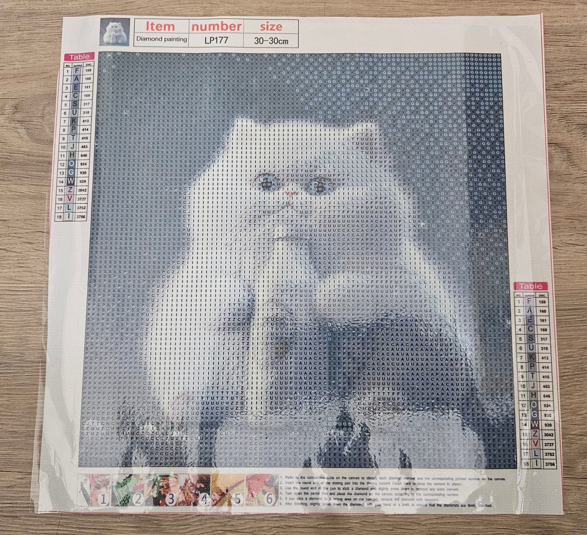 DP Bild Pummelkätzchen 2