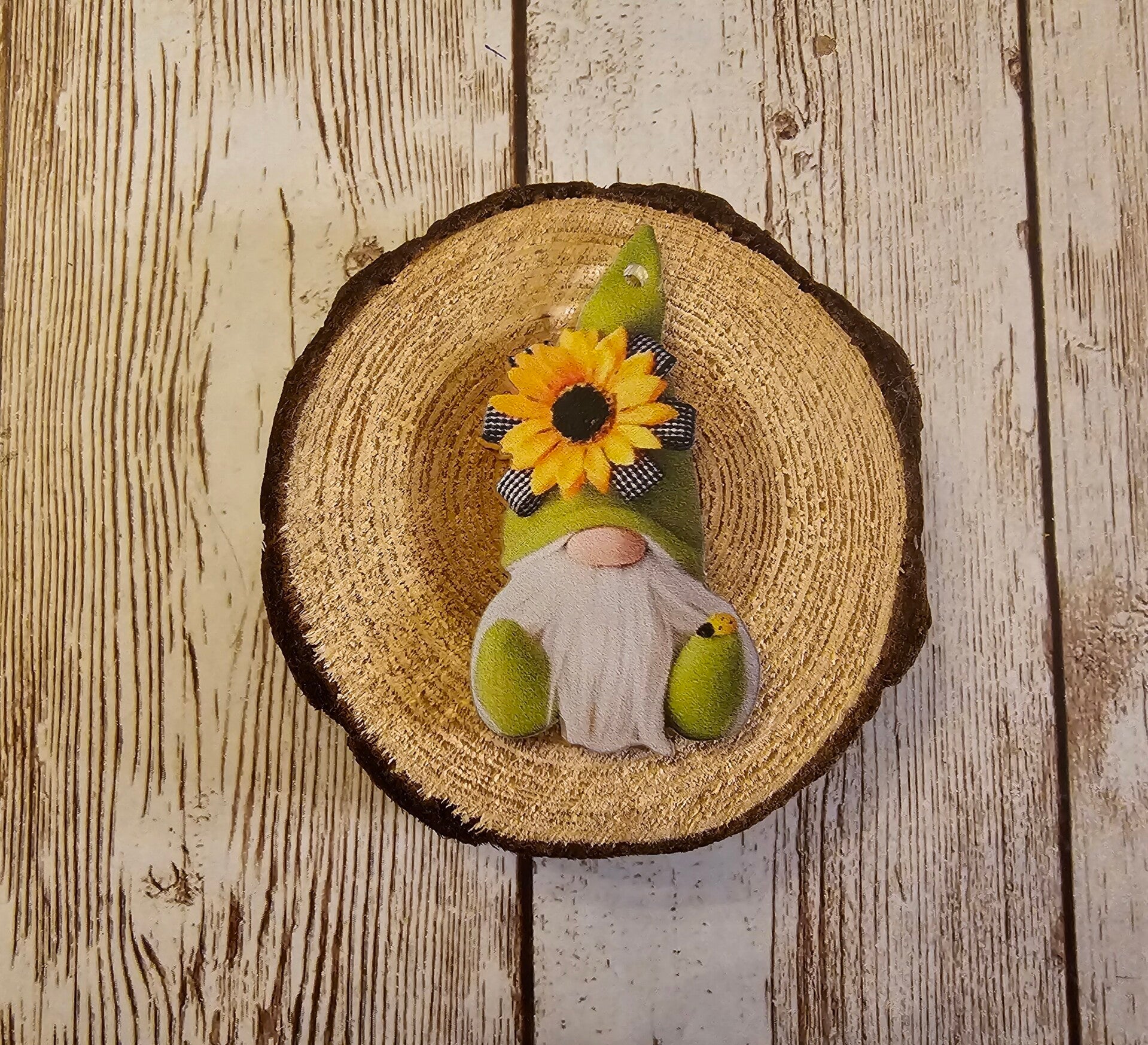 Coverminder Marienkäfergnom