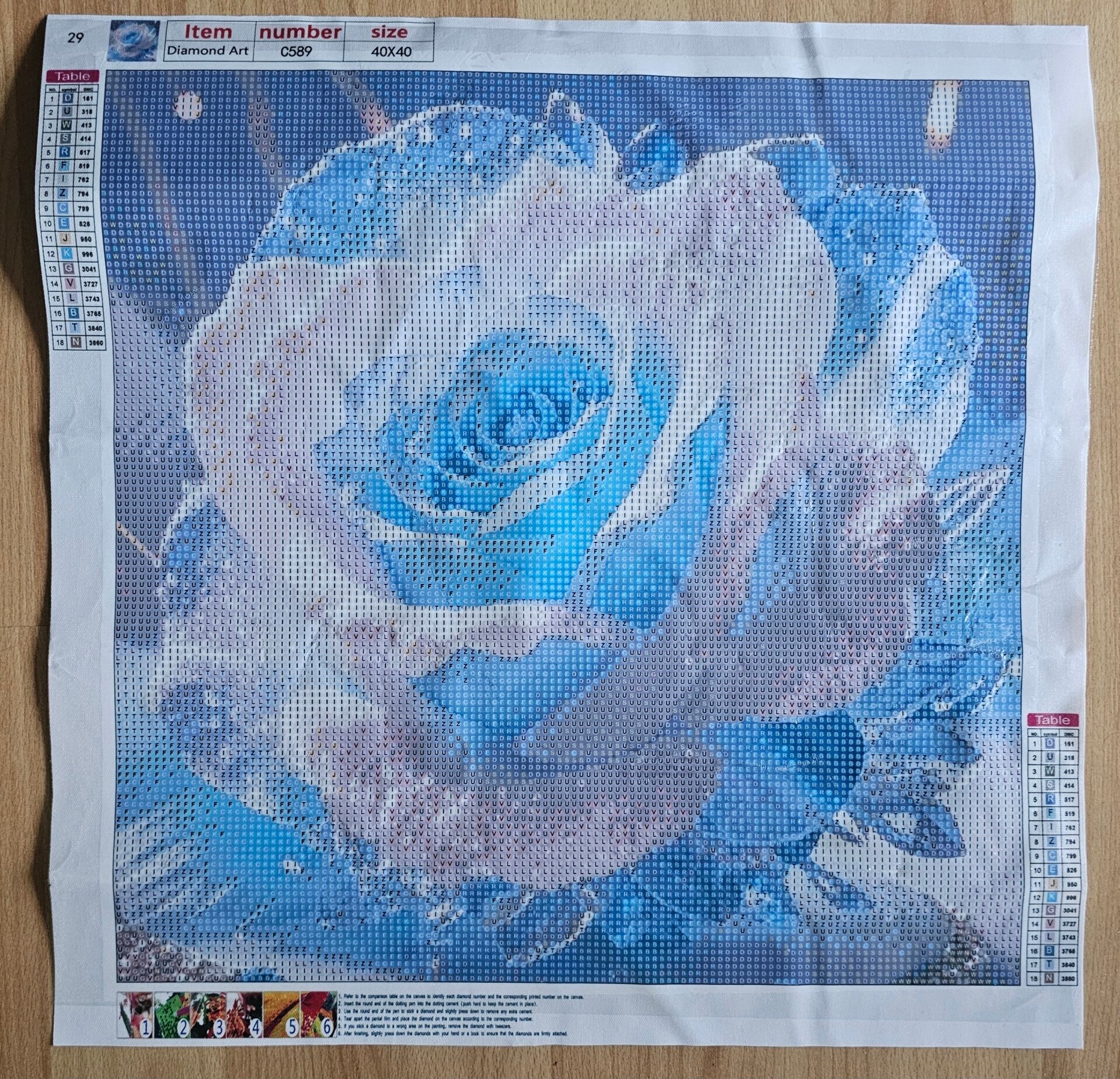 2. Wahl DP Bild Eisrose