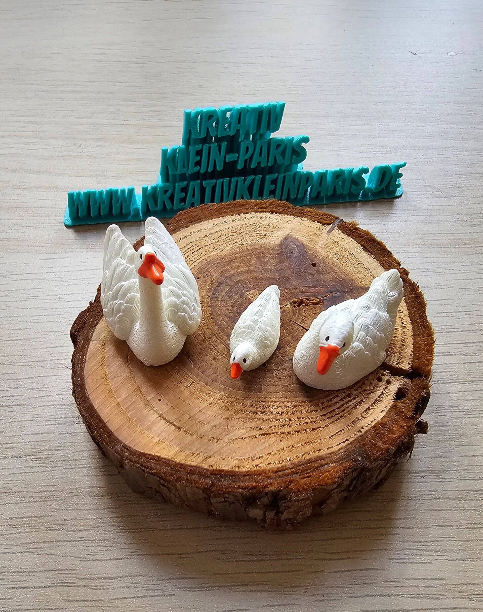 Coverminder Schwanfamilie