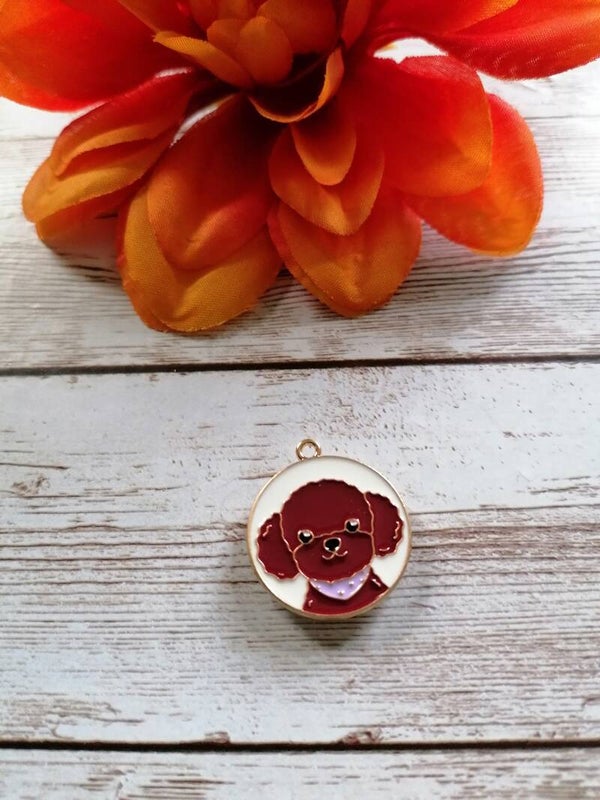 Coverminder brauner Pudel