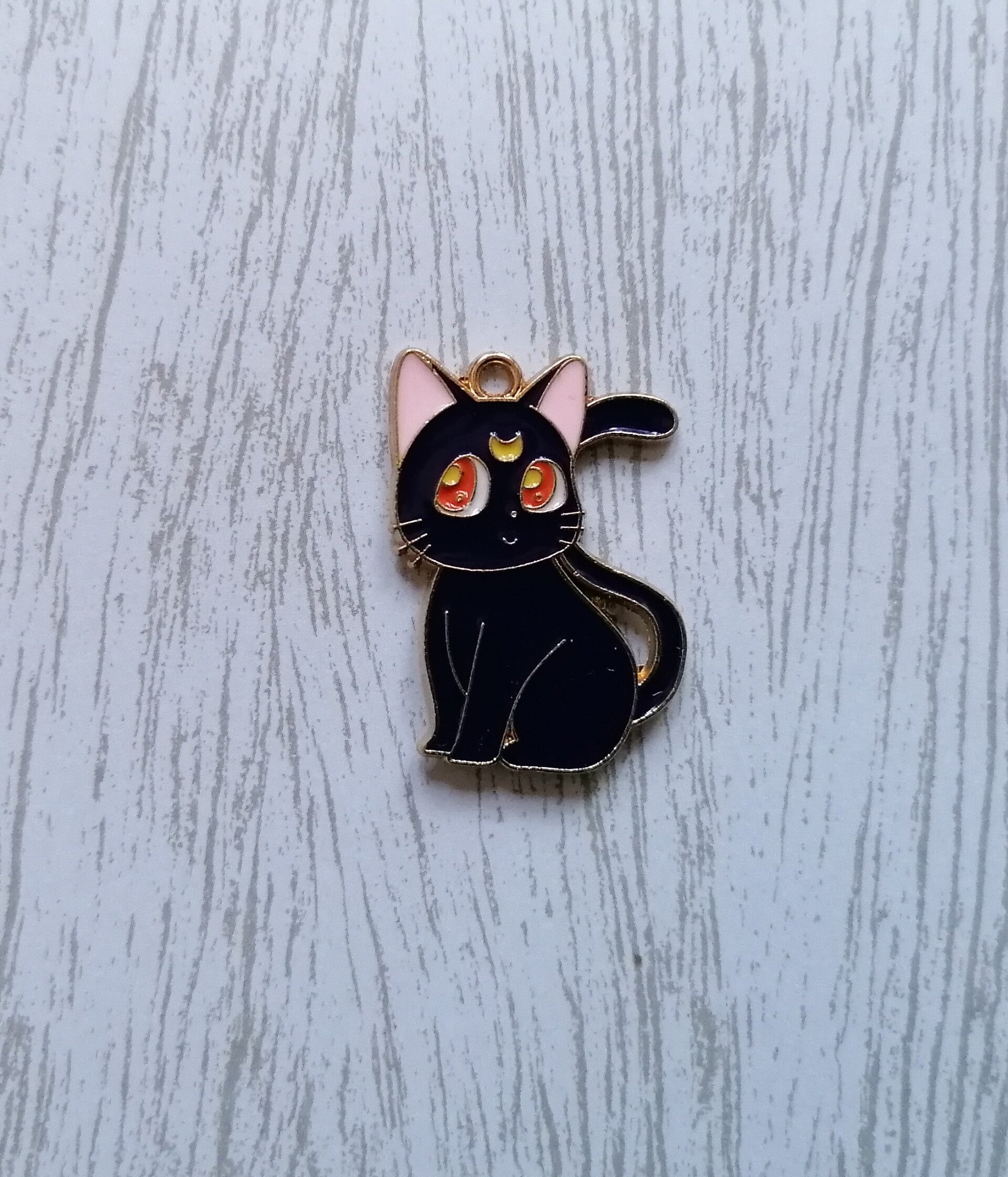 Coverminder blaue Katze