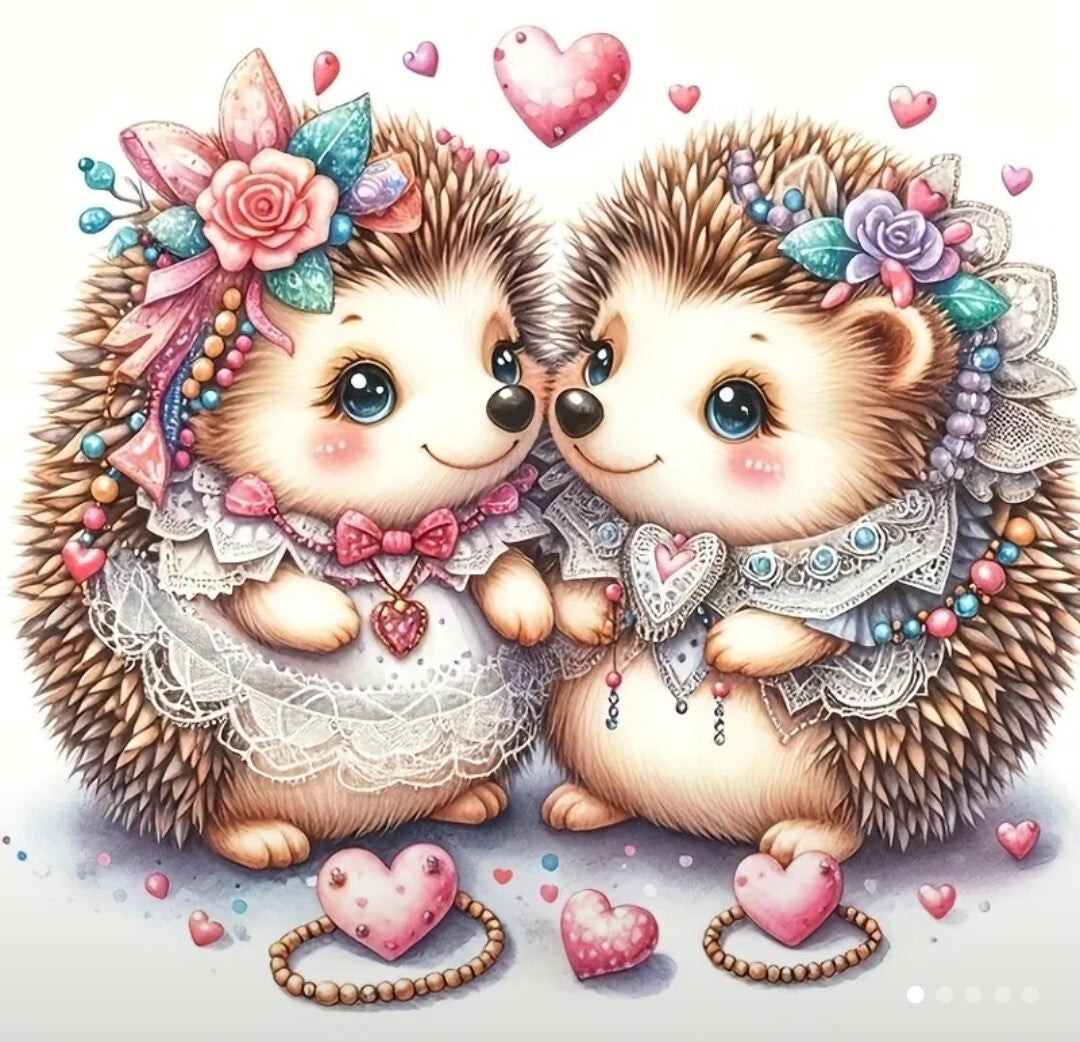 DP Bild Igelpärchen