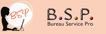 BSP Bureau Service Pro