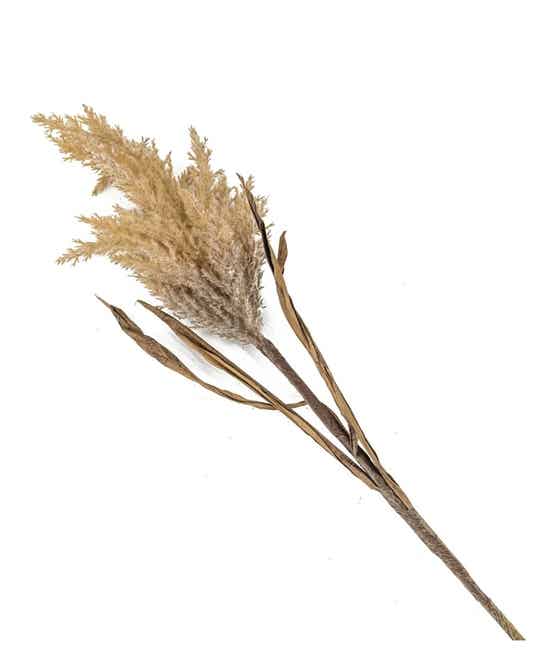 VQ® KUNSTBLOEMEN - TARWE TAK #3849