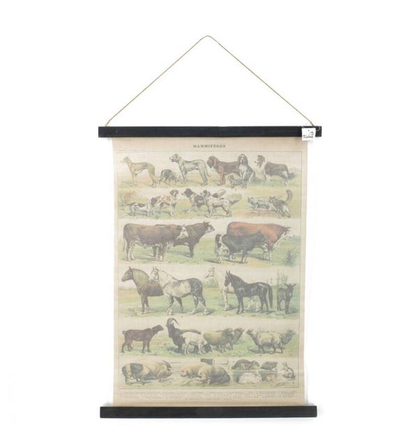 VIP-QUEEN® WANDKLEED BOERDERIJDIEREN #1623