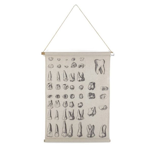 VIP-QUEEN® WANDKLEED