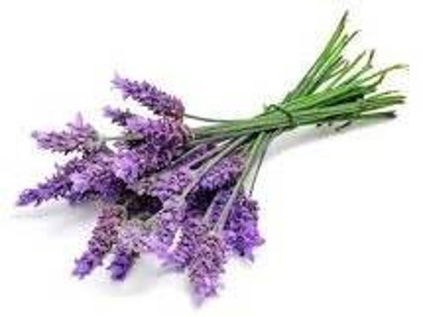 Lavendel siroop
