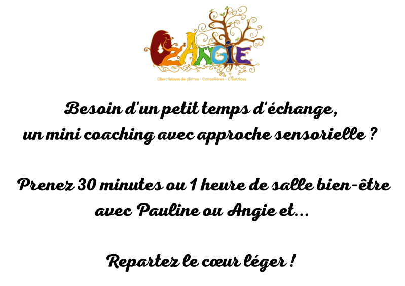 besoin-d-un-petit-temps-d-change-un-mini-coaching-avec-approche-sensoriel_20260515_144234_0000-standard.png