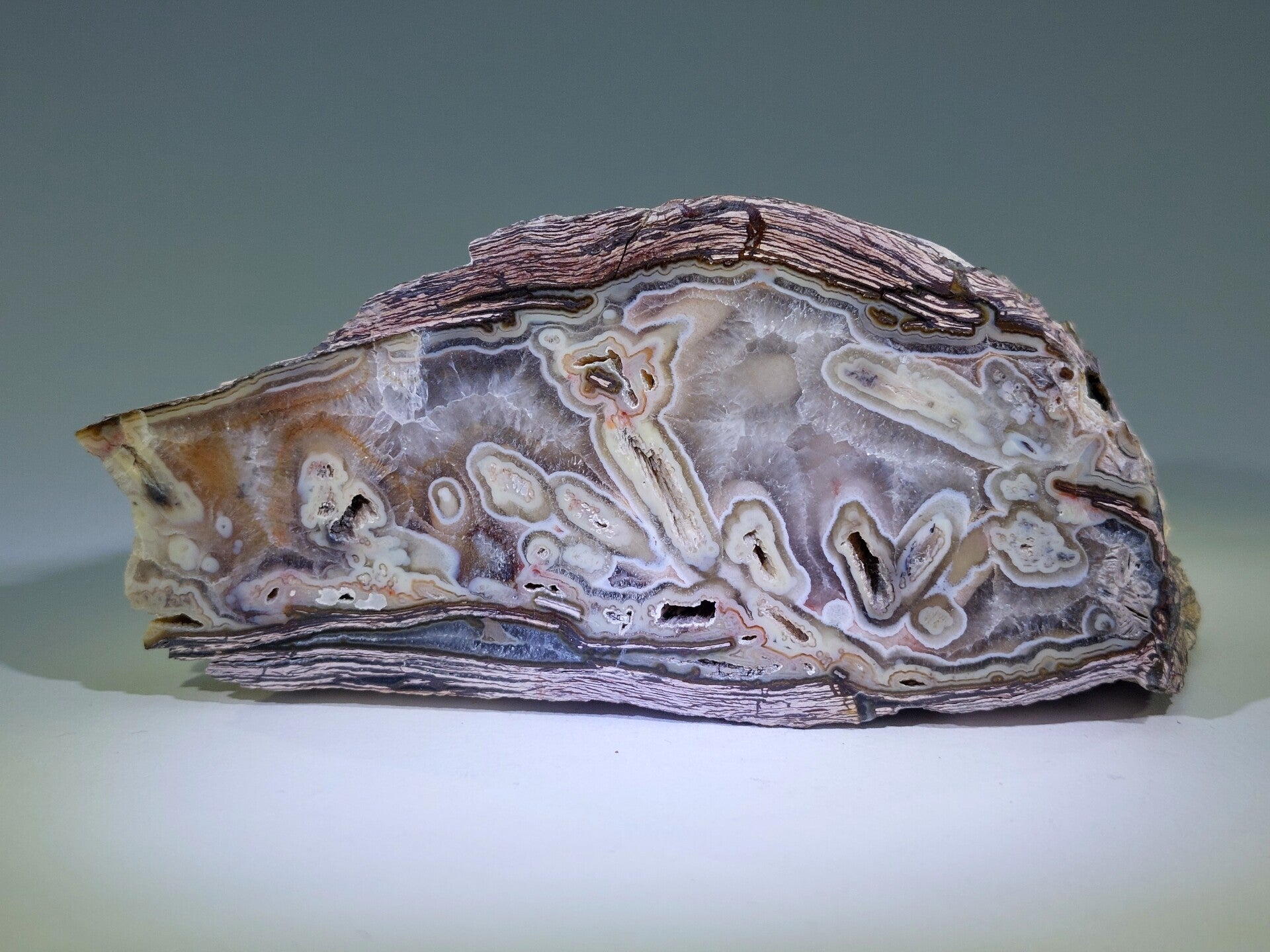 Agaat (Chalcedoon) in Rhyoliet - Turkije