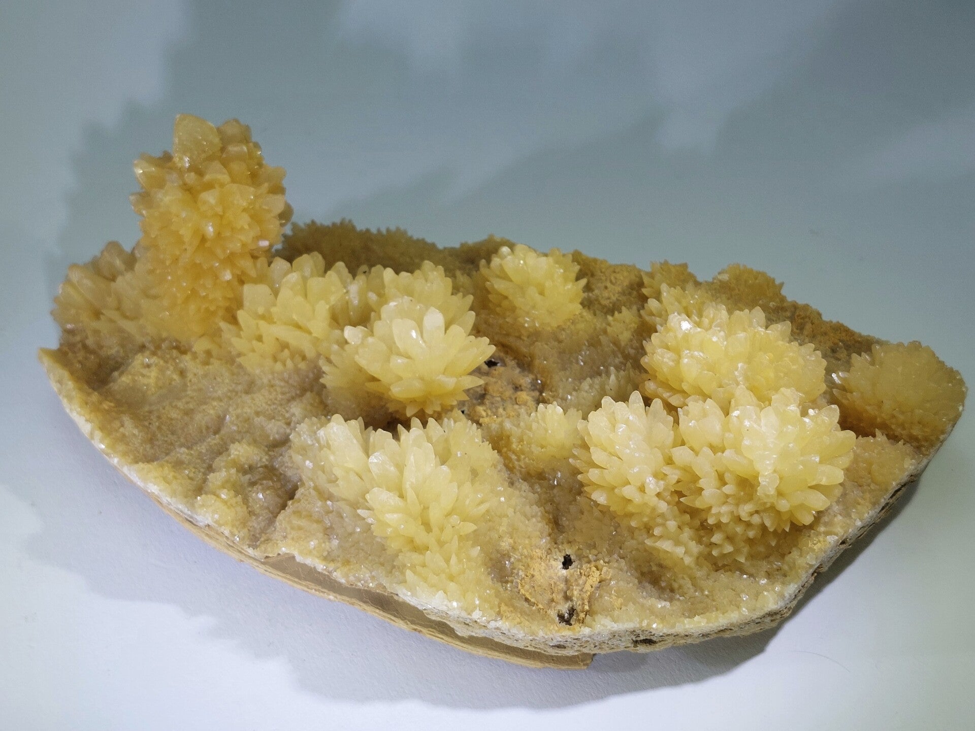 Calciet - China