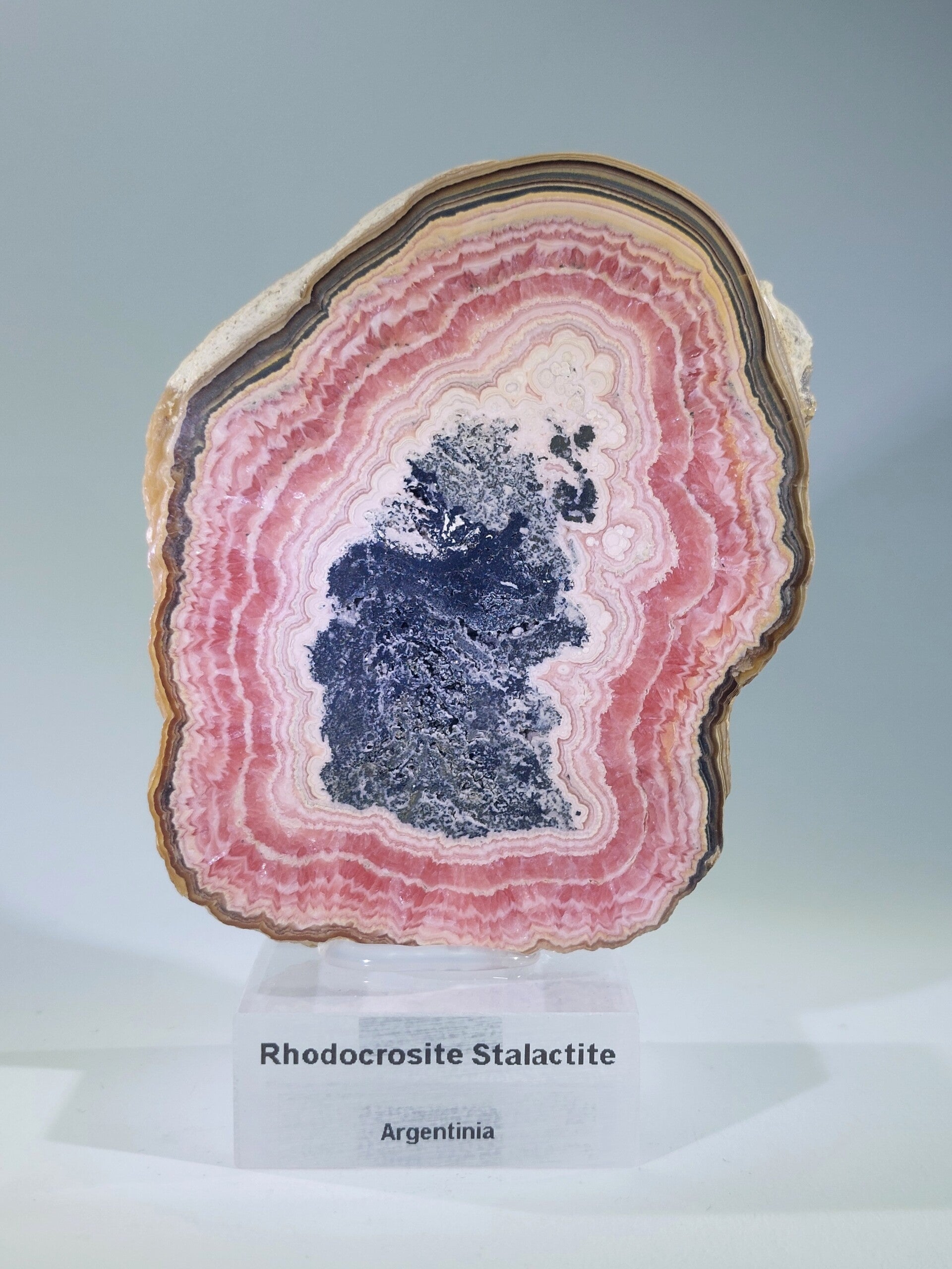 Rhodochrosiet "Stalactiet" Schijf - Argentinië