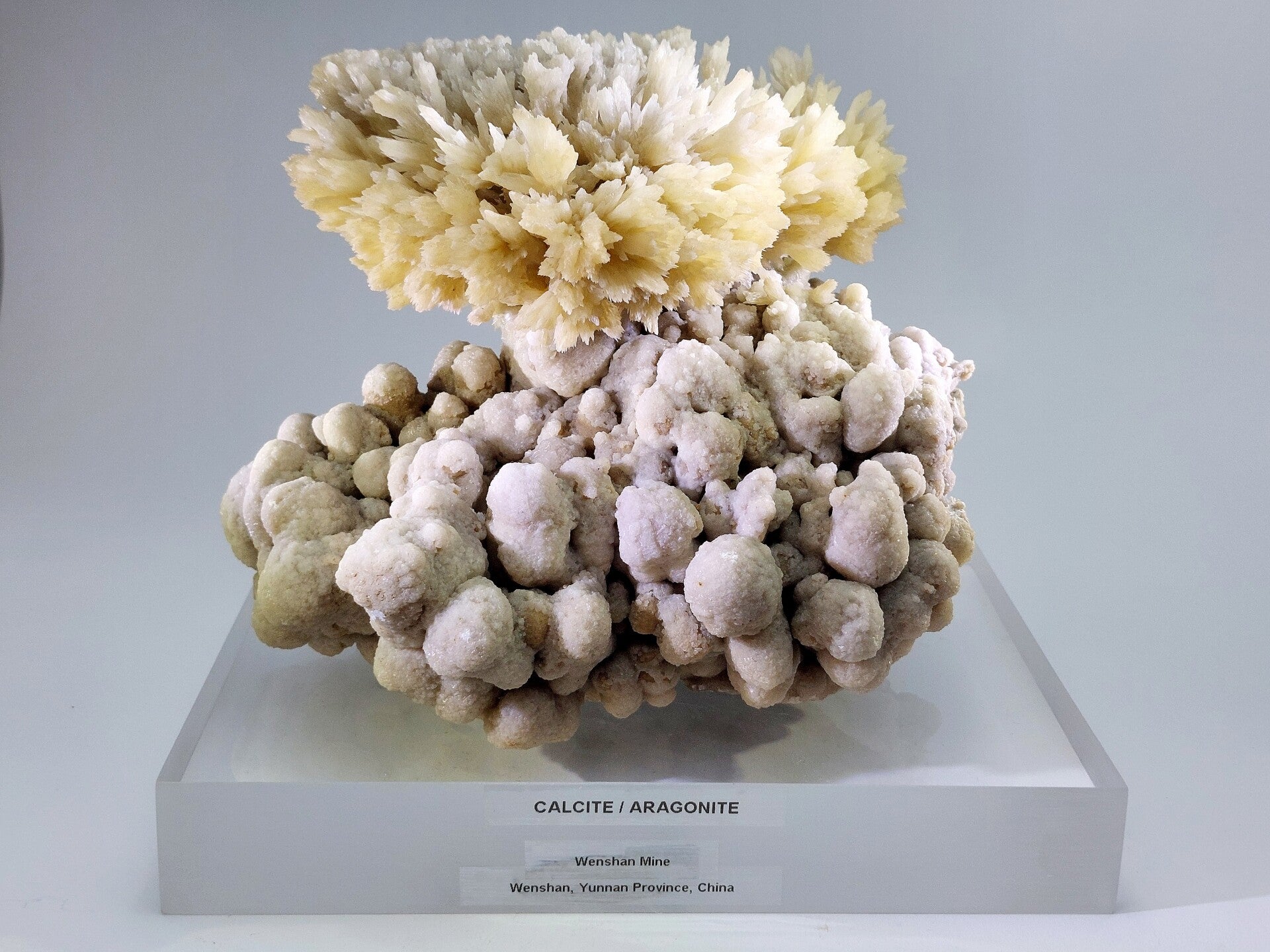 Calciet - China