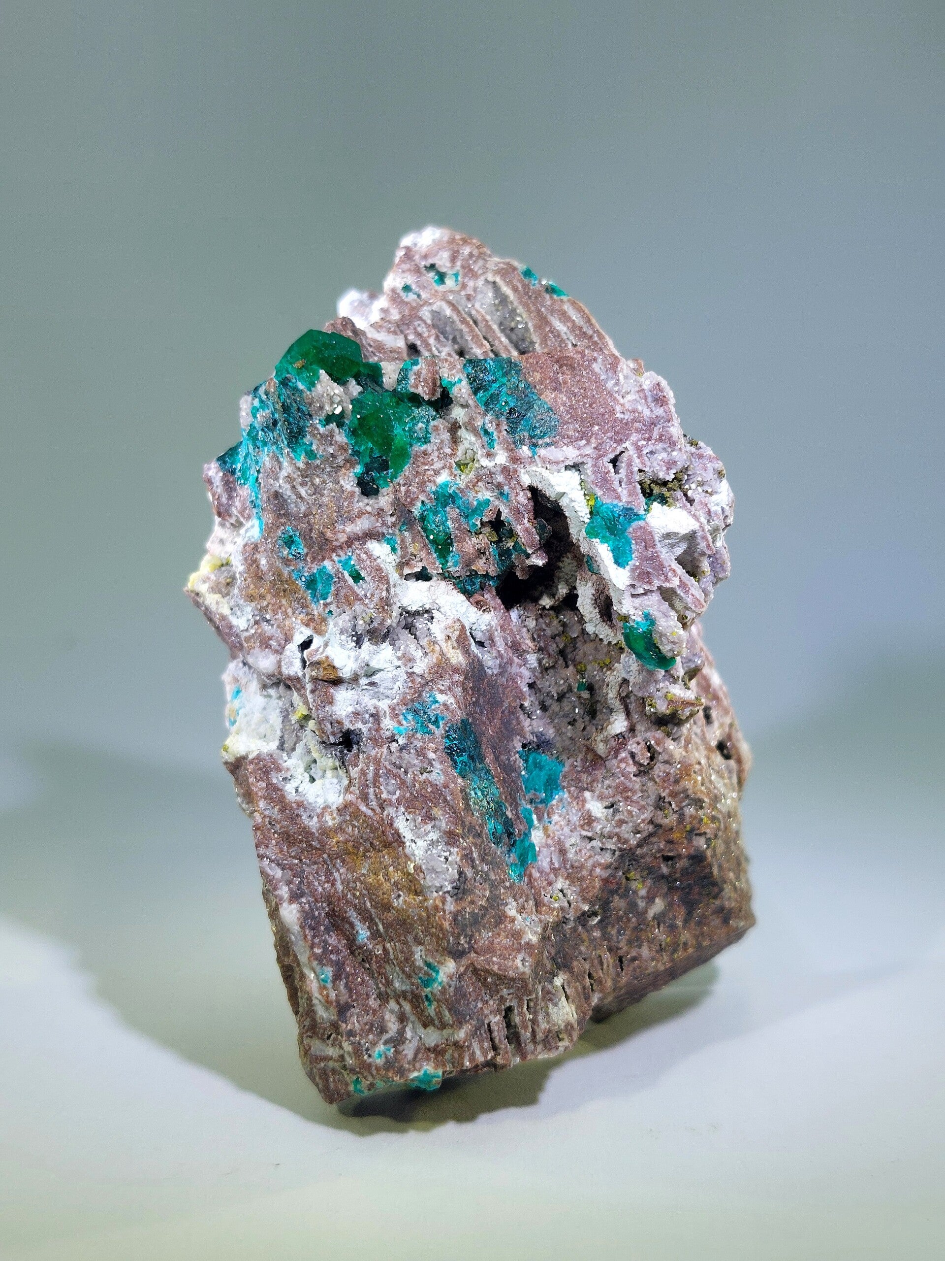 Dioptaas - D.R. Congo