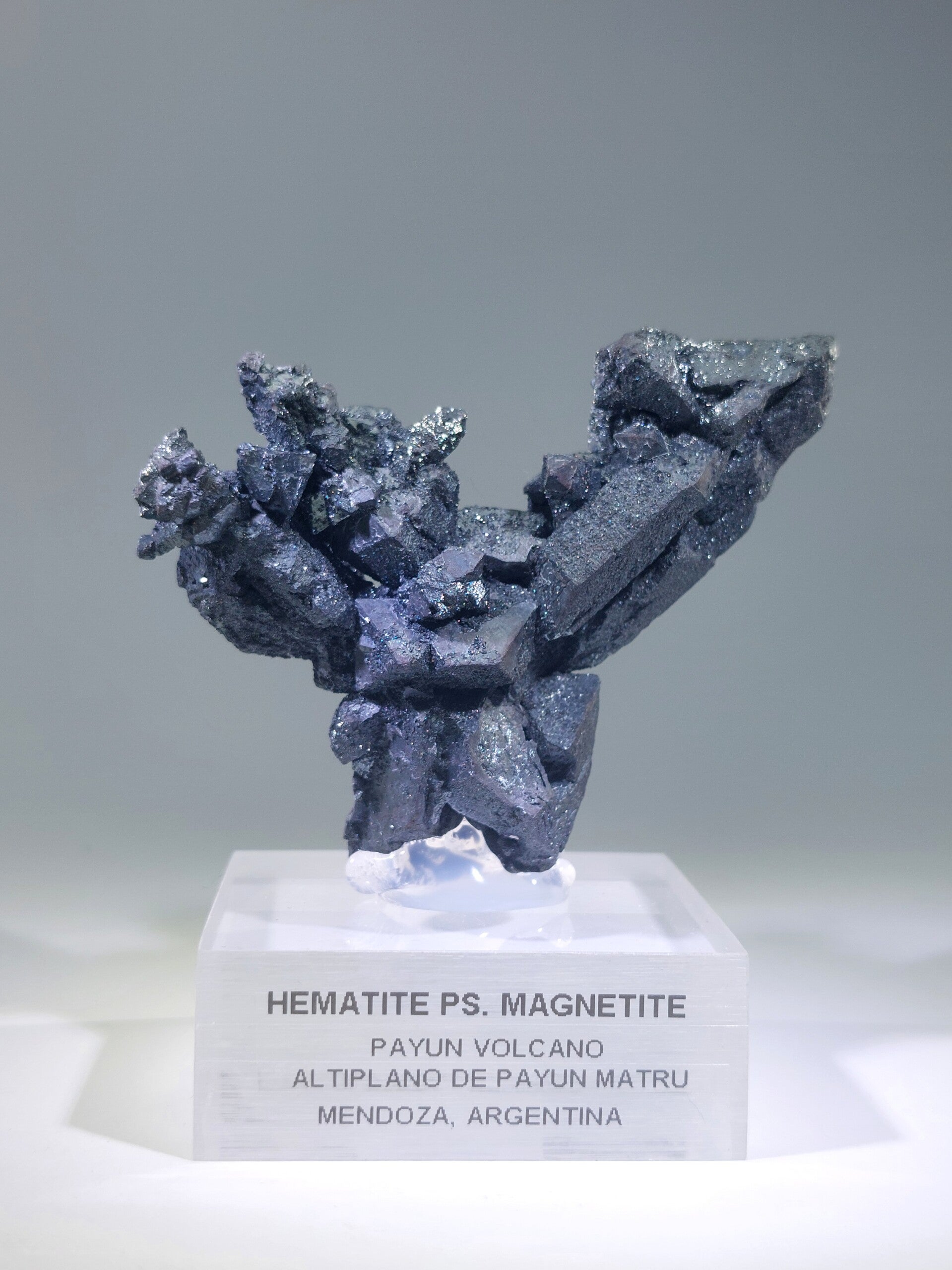 Hematiet pseudomorf na Magnetiet - Argentinië