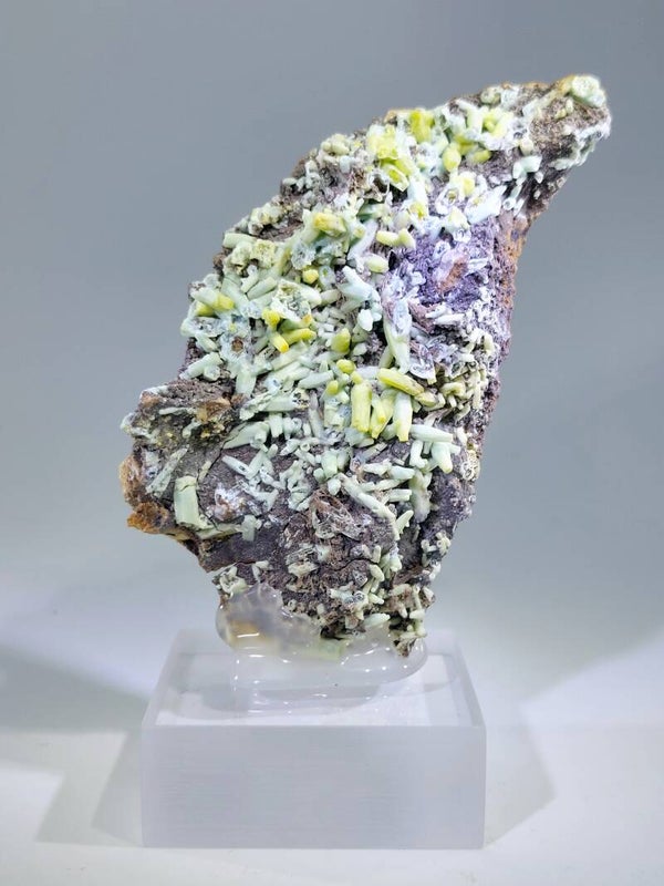 Plumbogummiet - China