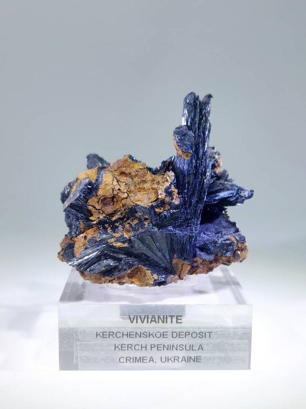 Vivianiet (Unieke fossiele matrix) - Oekraïne