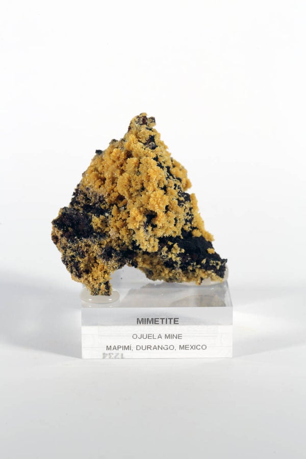 Mimetiet - Mexico