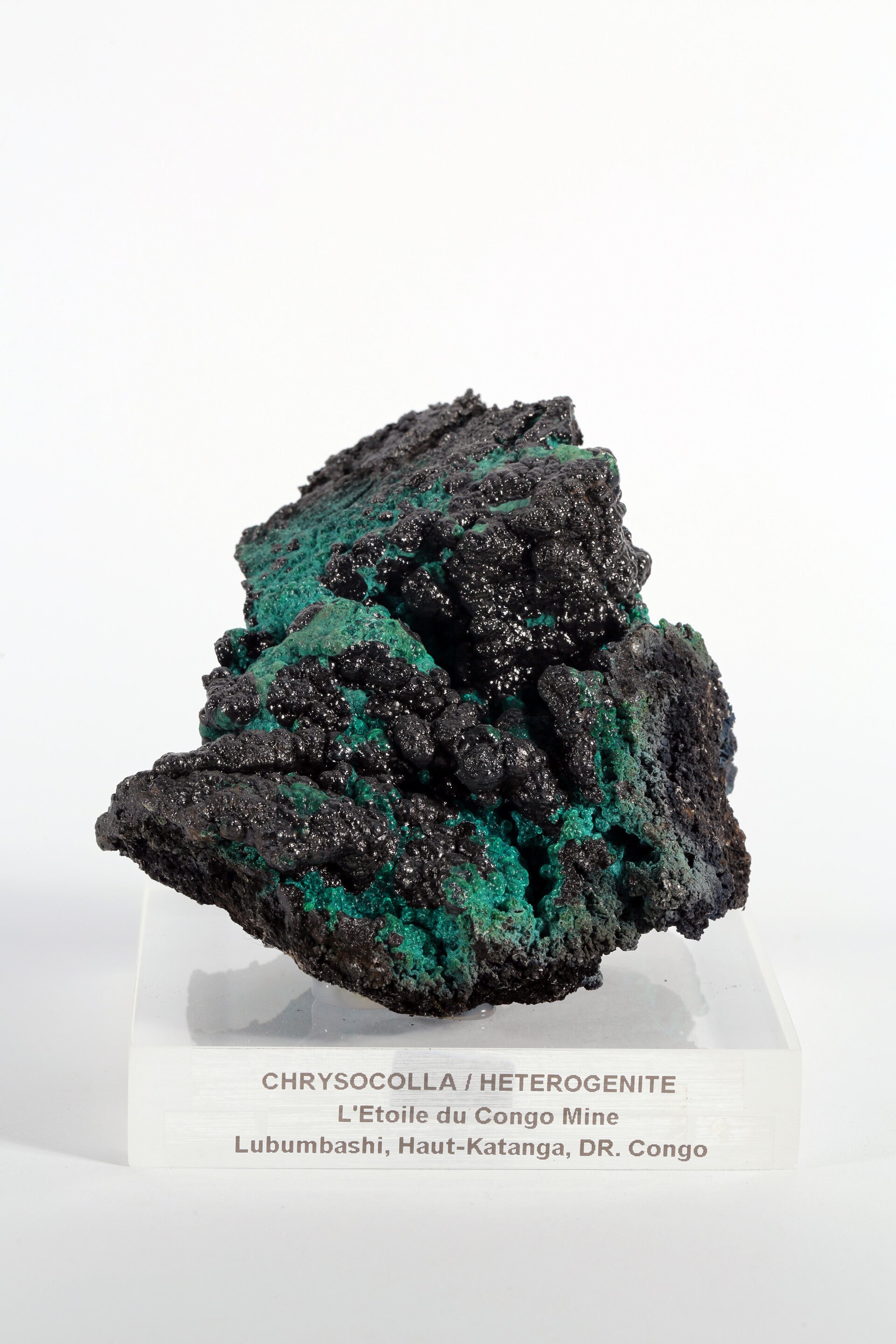 Chrysocolla met Heterogeniet - Democratische Republiek Congo