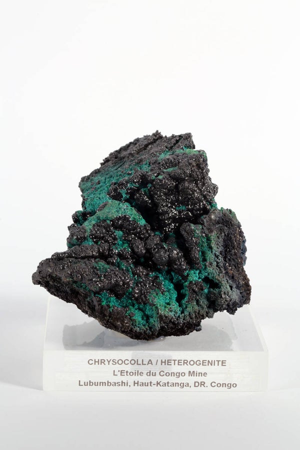 Chrysocolla met Heterogeniet - Democratische Republiek Congo