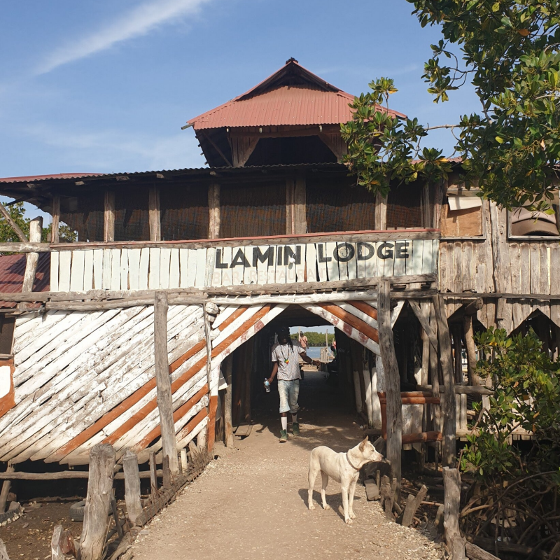 Lamin Lodge - Segler Treff in Gambia