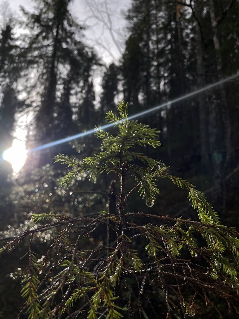 Auringonsäde blogissa tarkastelen Elämän mysteeriä. Sitä, miten kaikki on peiliä siitä, mikä on sisälläni. Teen oivalluksia ja jaan niitä kanssasi.