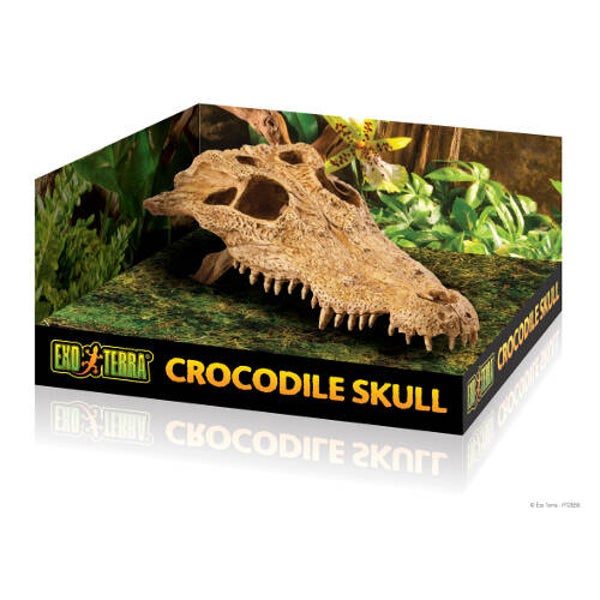 Exo Terra; Crocodile Skull