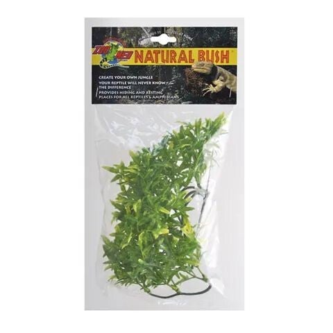 Zoo Med; Bolivian Croton