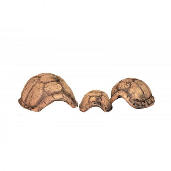Ceramic Nature Turtle Cave