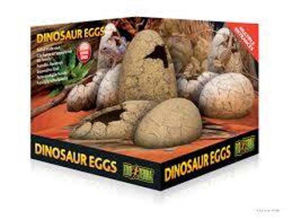 Exo Terra Dinosaur Eggs Fossil Hide Out