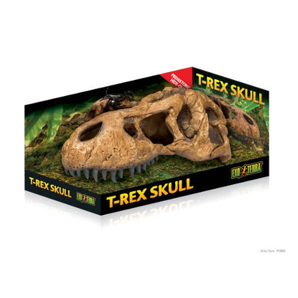 Exo Terra; T-Rex Skull