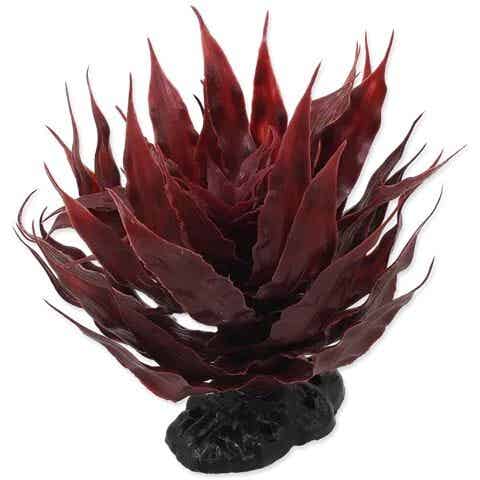 Repti Planet; Plant Sukulent Agave red 18cm