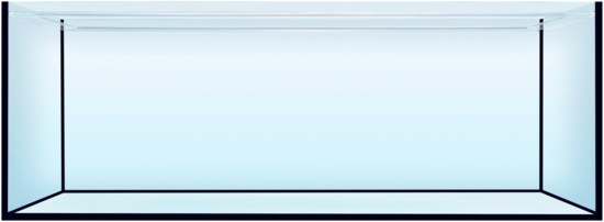 Een leeg glazen aquarium van 80 cm breed, de ideale startmaat voor het huisvesten van een jonge axolotl." 📏✨