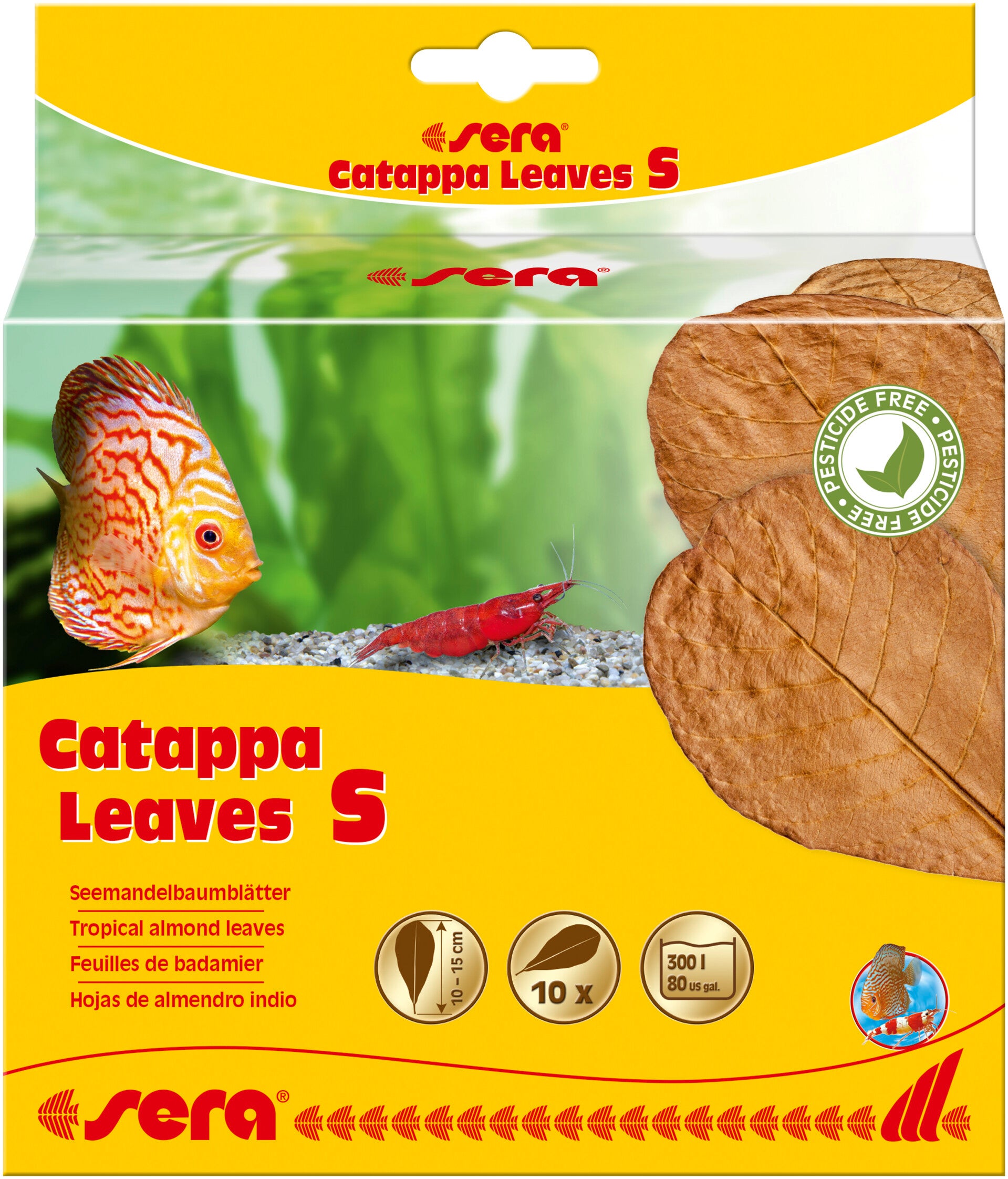 Sera Cattapa Leaves