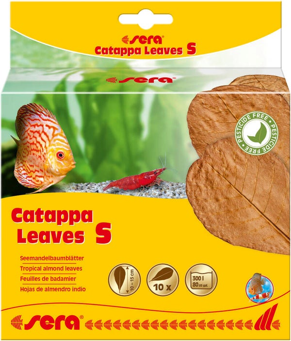 Sera Catappa Leaves