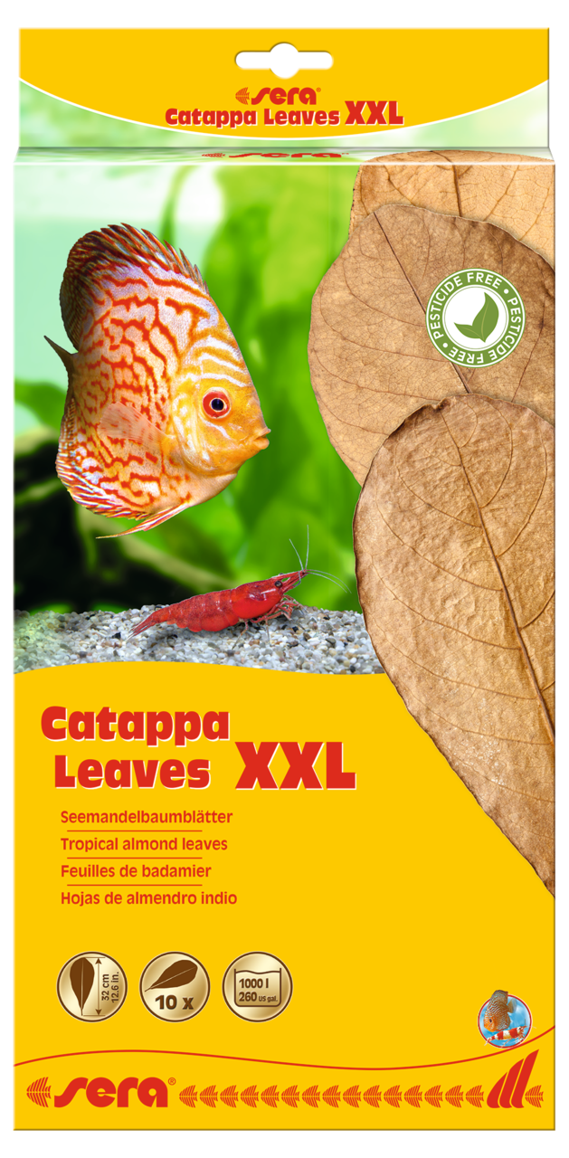 "Catappabladeren voor axolotls: De natuurlijke manier om de pH te verlagen en de slijmlaag te versterken. Bekijk ons advies hier. 💧"