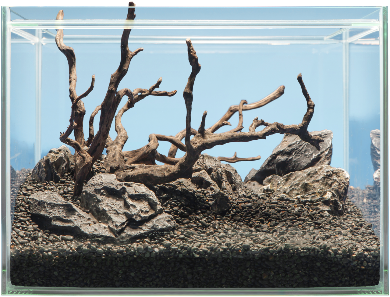 sera; Hardscape Scaper Cube Shrimp