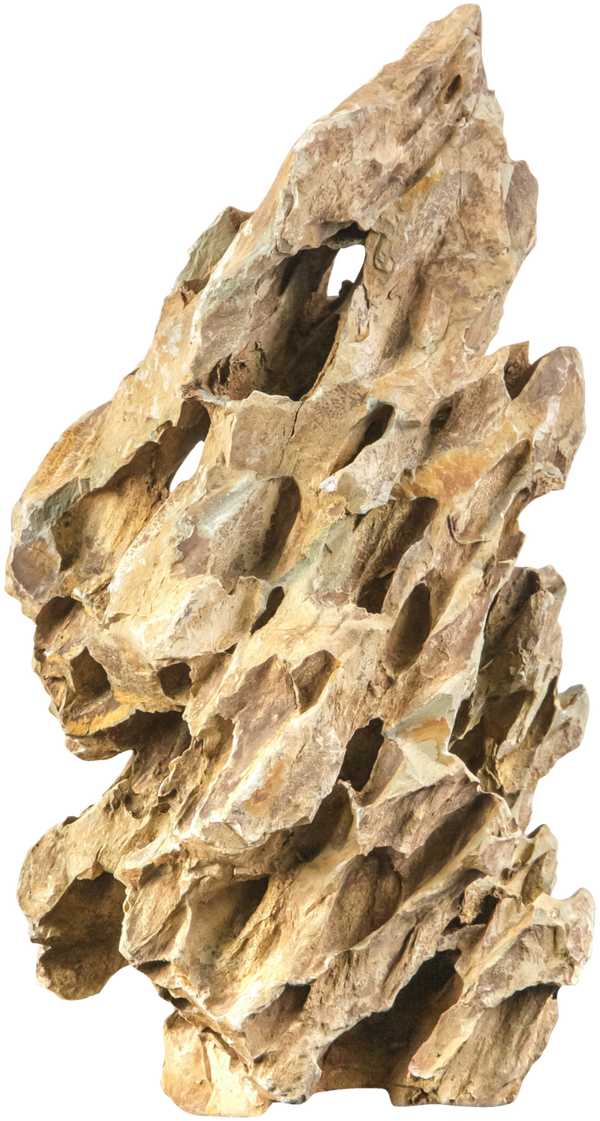 sera; Rock Dragon Stone