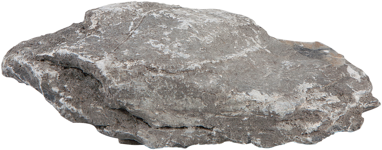 sera; Rock Gray Mountain