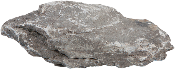 sera; Rock Gray Mountain
