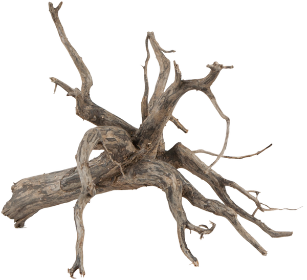 sera; Scaper Root