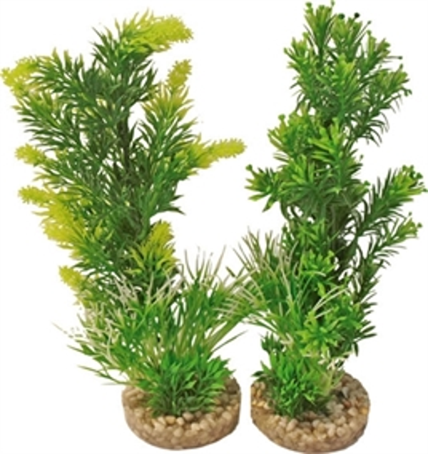 Aquarium Plant 349701 Medium