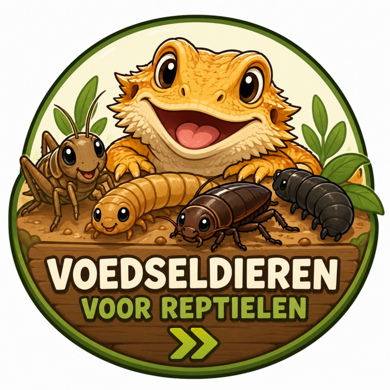 Voedseldieren voor reptielen cartoon met krekels, meelwormen, dubia kakkerlakken en een vrolijke baardagame.