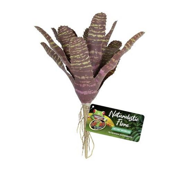 Zoo Med; Chestnut Bromeliad