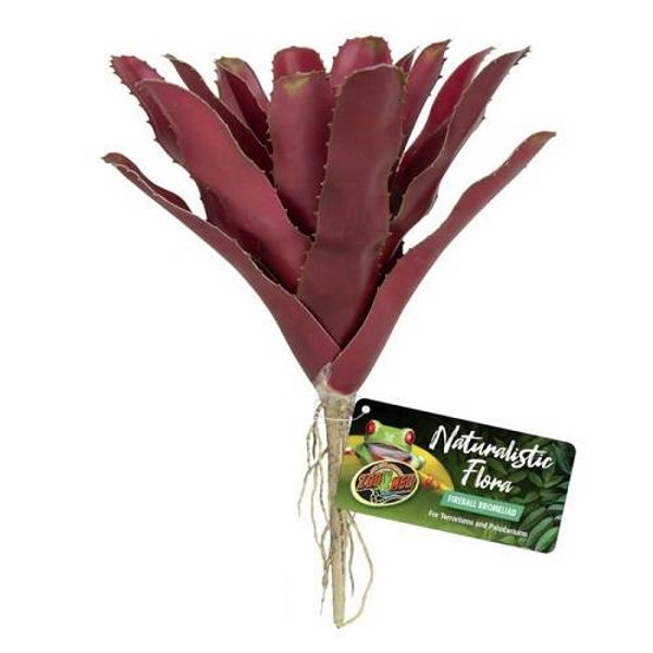 Zoo Med; Fireball Bromeliad